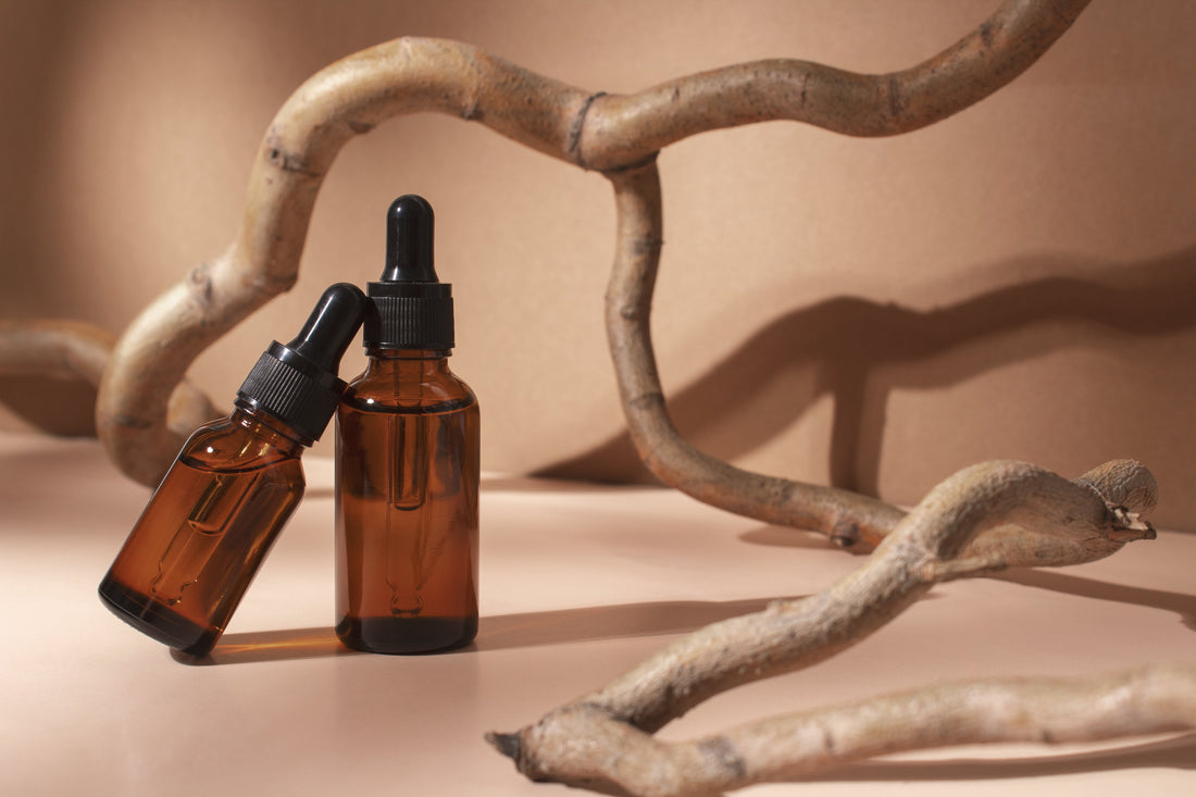 Cordyceps and Natural Energy Production: What Research Suggests